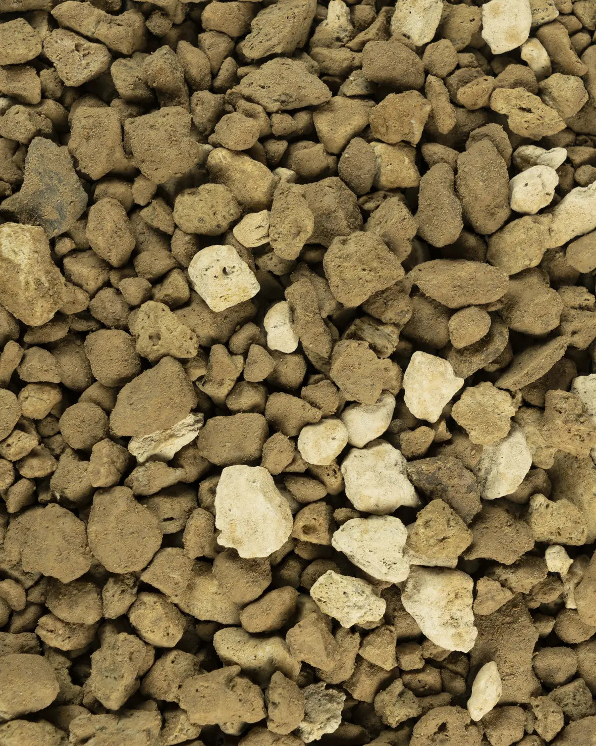 Pomice per giardinaggio