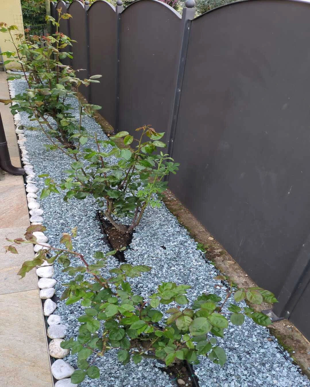 Granulato Verde Alpi 9-12 in aiuola