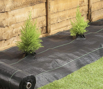 Telo per Pacciamatura