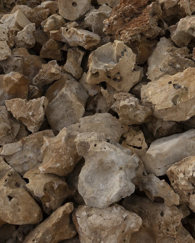 Roccette
