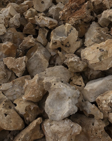 Roccette